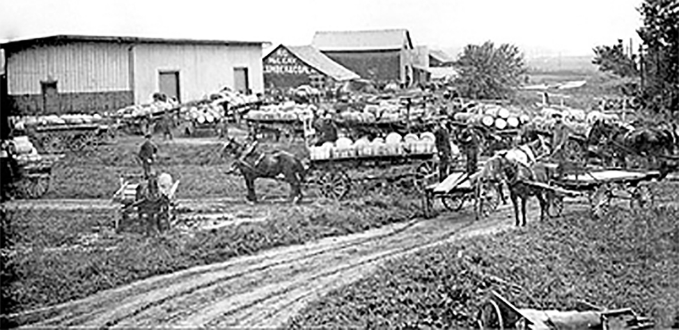 Many horse drawn wagons piled with barrels of apples.