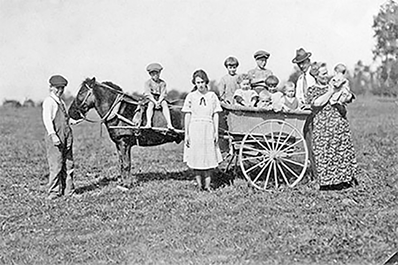 The Brandon family with many children in and around a pony drawn carriage..