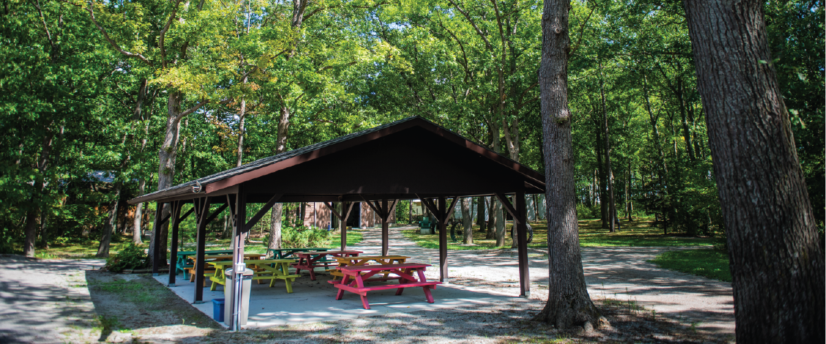 The forested Lambton Heritage Museum grounds, including a picnic pavilion nestled in the oak trees.