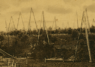 Antique photo of oil fields. 