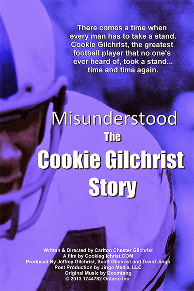 Book cover of "Misunderstood".