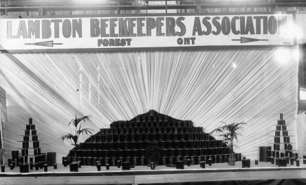 Display of bee-keeping.