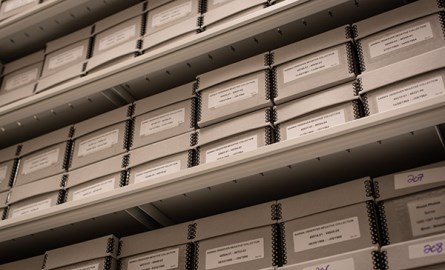 White labeled boxes on white shelves.