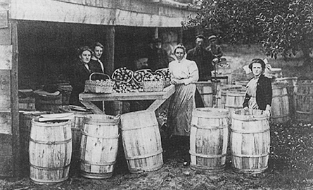 Black and white image of women around barrels.