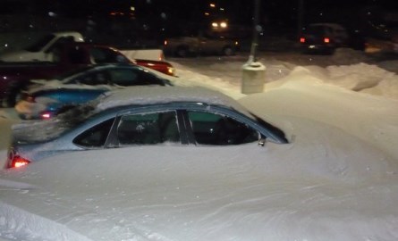 Cars parked and buried in the snow.