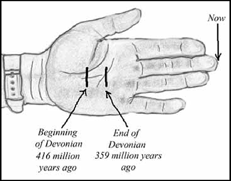 Devonian Period timeline illustrated using a hand.