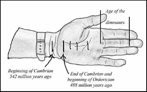 Palm of hand as a representation of a timeline.