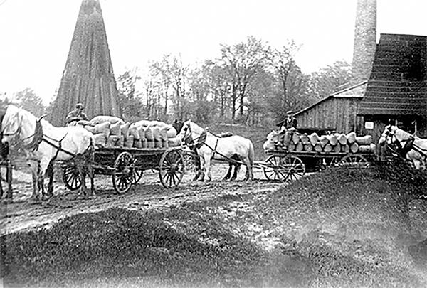 Horse drawn wagons carrying full bags at Elarton Salt Works, Kingscourt.