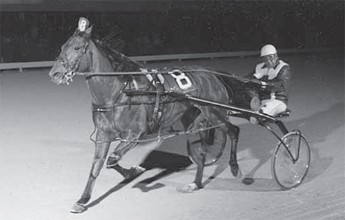 Ron Ellerker racing with Derby Dan., a horse.