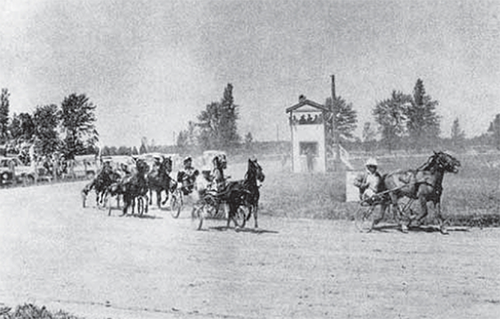 Watford Race Track with horses racing pulling carts.