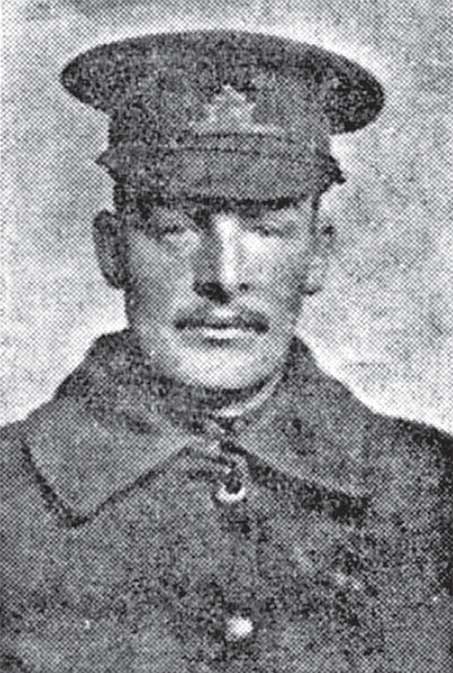 Portrait of Sergeant Major L. Gunne Newell.
