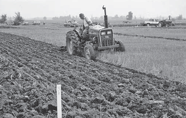 Bill Jones on a tractor, participating in a ploughing match. 