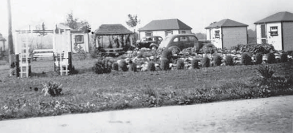 A row of small cabins at Waun’s Cabins.