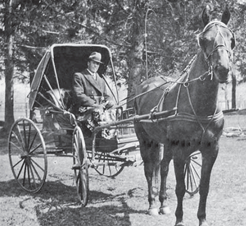 Vaughan McPherson in a single person horse drawn carriaga