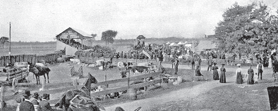 Horse paddocks and spectator at Watford Fair Grounds, 1906.