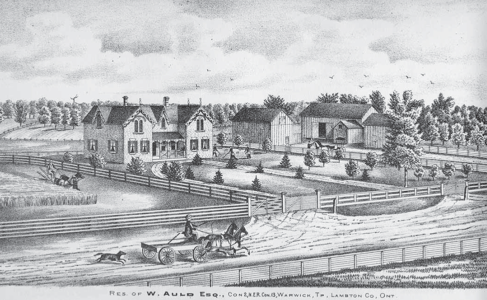 Illustration of William Auld homestead with one house and 2 barns.