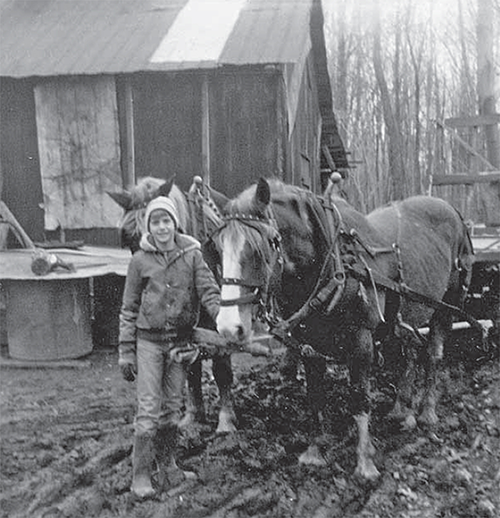 Young Jeffrey (Cub) Douglas leading 2 horses.