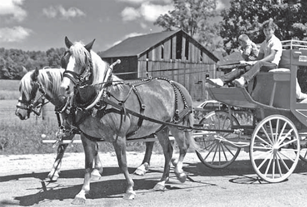 Duane Ferguson on a carriage pulled by 2 horses.