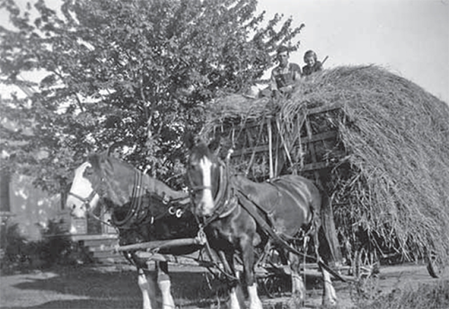 Allen and Muriel Garrett sitting on top of a large hay wagon.