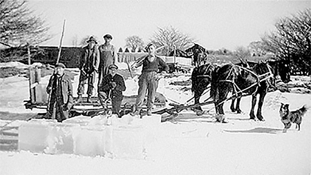 Five men with a sled pulled by 2 horses and cut ice blocks.