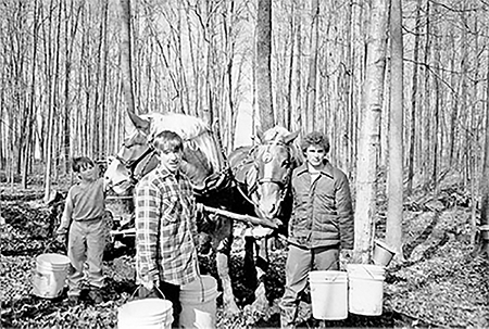 Adam, Kris and Jason Boyd gathering sap in sugar bush