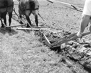 Two horses pulling a plow in a field.