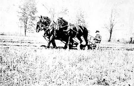 Man sitting on a plough being pulled by 2 horses.
