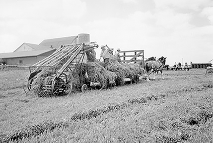 Hay loader at Doug Boyd's farm.