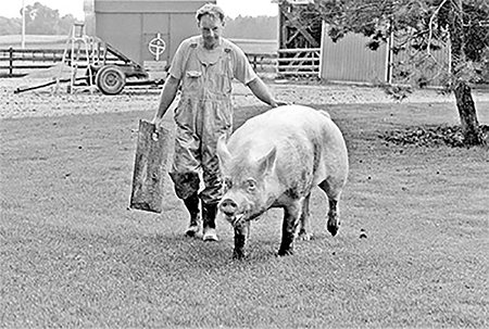 Jack Geerts with boar.