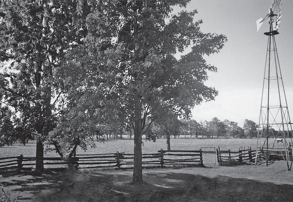 Windmill and rail fence on the Boyd Farm. 