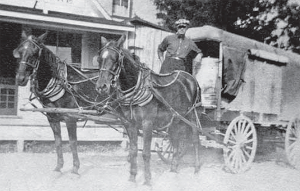 Gordon Vance with horse-drawn grocery wagon.