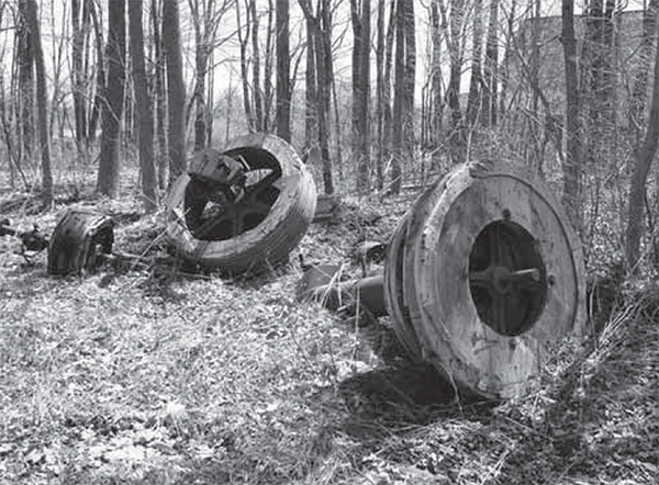 Elarton Salt Works artifacts in a forest.