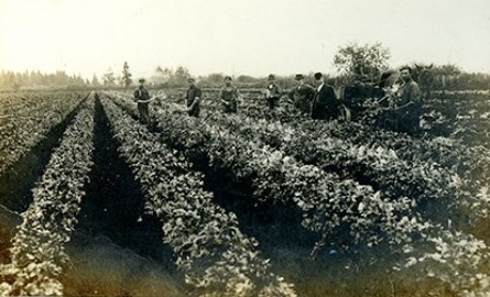 Men standing in a field.