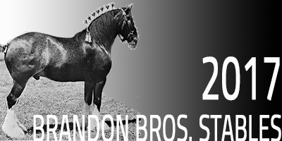 2017 inductee Brandon Brothers Stables