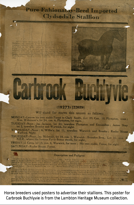Poster advertising the Stallion Carbrook Buchlyvie. Title:"Pure Fashionably-Bred Imported Clydesdale Stallion".  The poster says what mares it is breeding and gives a Description of the horse and it's Pedigree. Image Caption: Horse breeders used posters to advertise their stallions. This poster for Carbrook Buchlyvie is from the Lambton Heritage Museum collection.