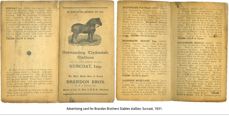 Left: A spread about "The Stud of the Season", the Brandon Bros. Sugarcoat. Right: Descriptions of other horses including Bridgebank Footman, Bridgebank Ernst, Carbrook McLelland, and Bridgebank Herald. Image Caption: : Advertising card for Brandon Brothers Stables stallion, Surcoat, 1931.