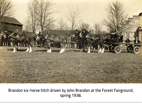 Crowd of people watch a team of 6 horses pull a wagon. Image Caption: Brandon six-horse hitch driven by John Brandon at the Forest Fairground, spring 1938.