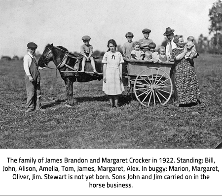 A family photo with a horse and buggy. The parents are on the far right, the many children's are in and around the horse and buggy. Image Caption: The family of James Brandon and Margaret Crocker in 1922. Standing: Bill, John, Alison, Amelia, Tom, James, Margaret, Alex. In buggy: Marion, Margaret, Oliver, Jim. Stewart is not yet born. Sons John and Jim carried on in the horse business. 