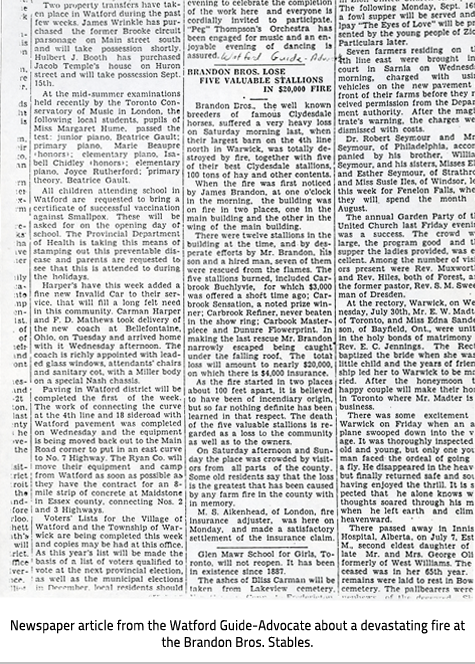 Article: BRANDON BROS. LOSE FIVE VALUABLE STALLIONS IN $20,000 FIRE  Brandon Eros the well known breeders of famous Clydesdale horses suffered a very heavy loss on Saturday morning last, when their largest barn on the 4th line north in Warwick, was totally destroyed by fire, together with five of their best Clydesdale stallions, 100 tons of hay and other contents. When the fire was first noticed by James Brandon, at one o’clock in the morning, the building was on fire in two places, one in the main building and the other in the wing of the main building. There were twelve stallions in the building at the time, and-by desperate efforts by Mr. Brandon, his son and a hired man, seven of them were rescued from the flames. The five stallions burned, included Carbrook Buchlyvie, for which $3,000 was offered a short time ago; Carbrook Sensation, a noted prize winner; Carbrook Refiner, never beaten in the show ring; Carbrook Masterpiece and Dunure Flowerprint. In making the last rescue Mr. Brandon narrowly escaped being caught under the falling roof. The total loss will amount to nearly $20,000, on which there is $4,000 Insurance.  As the fire started in two places about 100 feet apart, It is believed to have been of incendiary origin, but so far nothing definite has been learned in that respect. The death of the five valuable stallions is regarded as a loss to the community as well as to the owners. On Saturday afternoon and Sunday the place was crowded by visitors from all parts of the county. Some old residents say that the loss is the greatest that has been caused by any farm fire in the county within memory. M. S. Aikenhead, of London, fire insurance adjuster, was here on Monday, and made a satisfactory settlement of the insurance claim.
