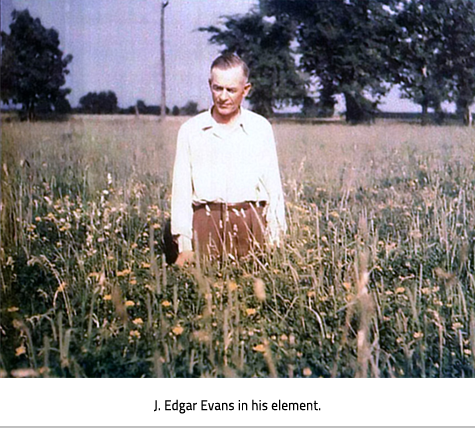 A man standing in a field and looking down at the crop. Image Caption: J. Edgar Evans in his element. 