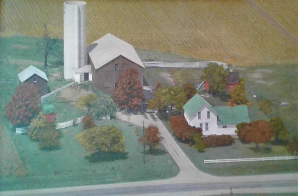 The Homeplace, by Annie McLaughlin