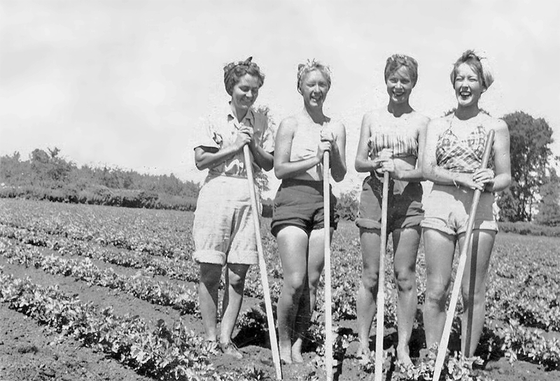 Four Farmerettes stand in a field with hoes.