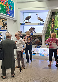 People viewing an exhibit.