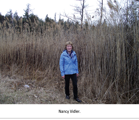 (Nancy Vidler standing standing outside near some tall grasses. Image Caption: "Nancy Vidler."), link.