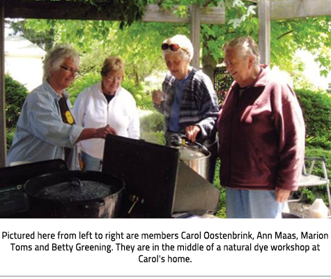(Four older women surrounding a metal contraption. Image Caption: "Pictured here from left to right are members Carol Oostenbrink, Ann Maas, Marion Toms and Betty Greening. They are in the middle of a natural dye workshop at Carol's home."), link.
