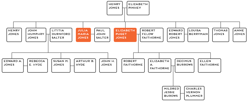 (Family tree highlighting Julia (Jones) Salter and Elizabeth (Jones) Faithorne. Image Caption: "Simplified Jones Family Tree"),link.