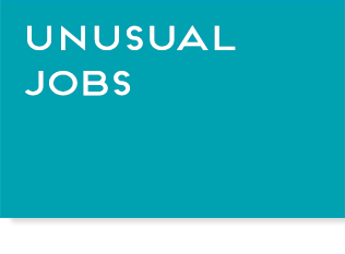 Turquoise box with text, "Unusual Jobs", link.