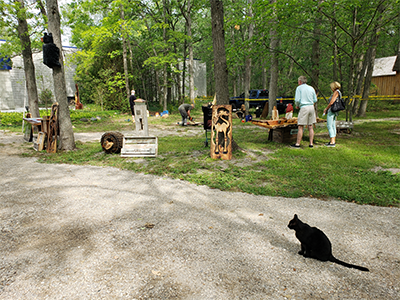 Black cat outside watching an artist demonstration, link.