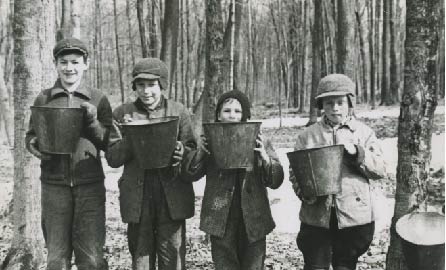 Children outside in the bush.