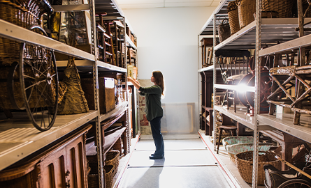 A curator looking through artifacts in the collections centre.